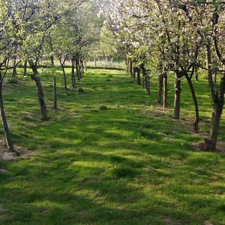 Apartmani 